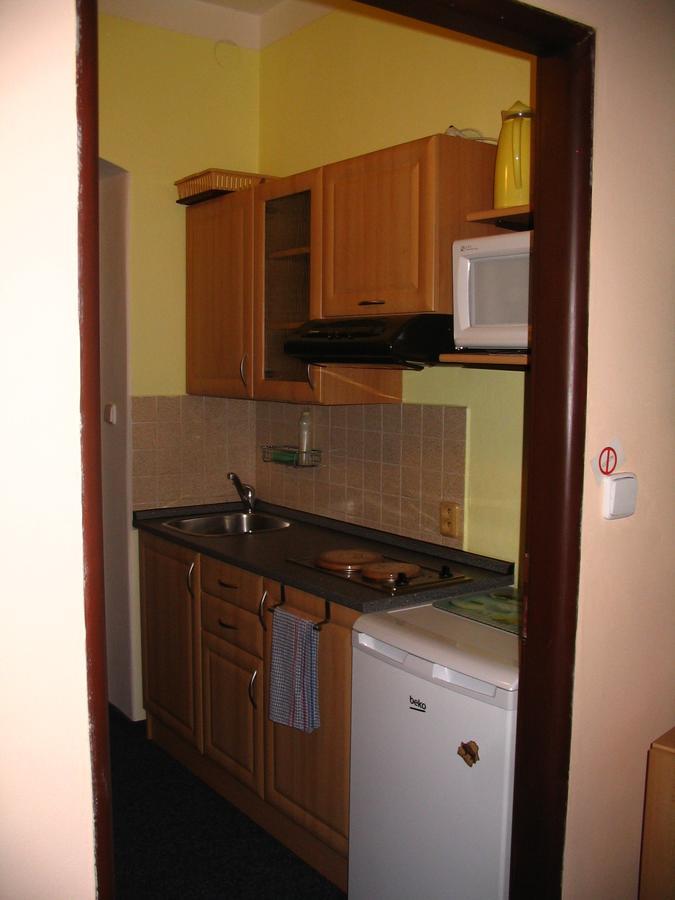 Apartmany Ingeborg Jachymov Bagian luar foto
